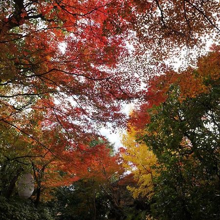 Suminagi Shinpontocho Aparthotel Kyoto Exteriör bild