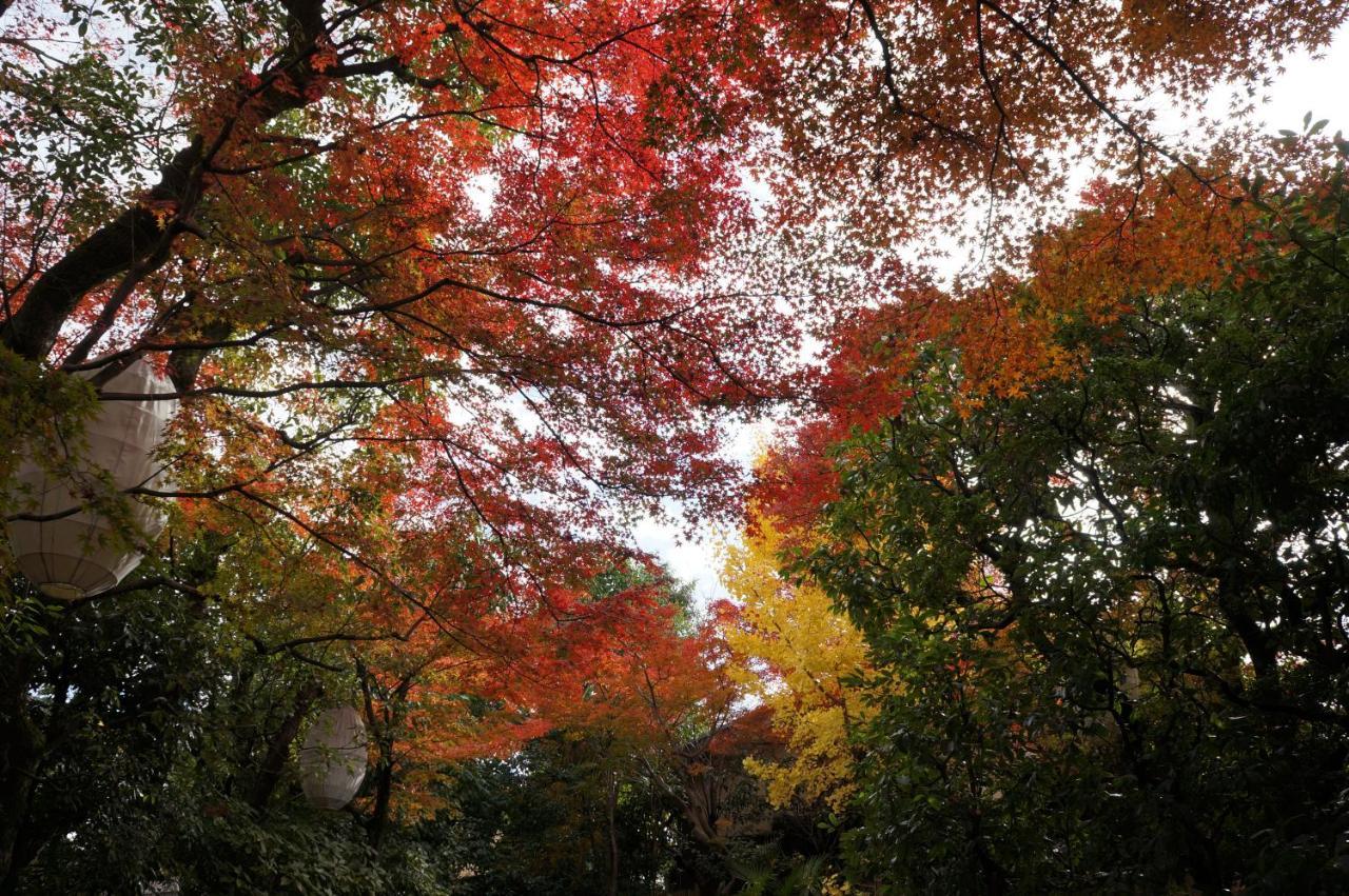 Suminagi Shinpontocho Aparthotel Kyoto Exteriör bild